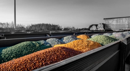 Renkli Tamburlu Dolomit Taşı