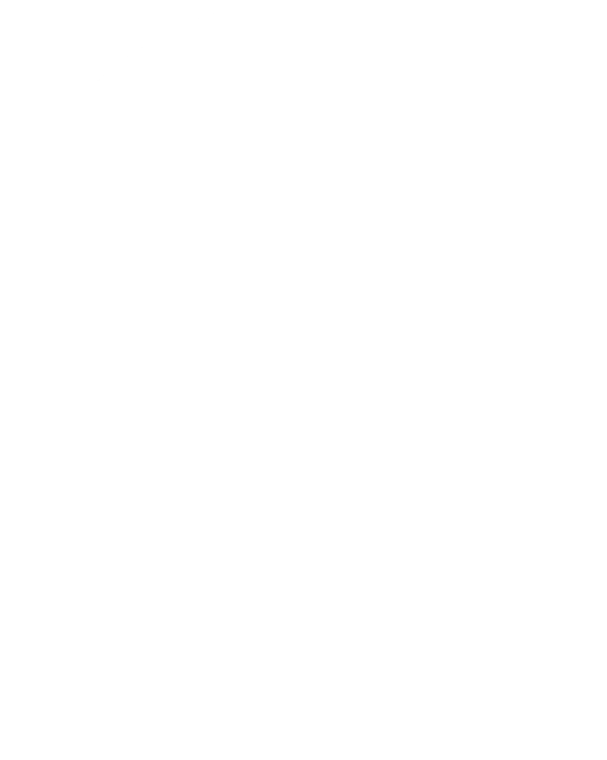 Agossa Footer Logo